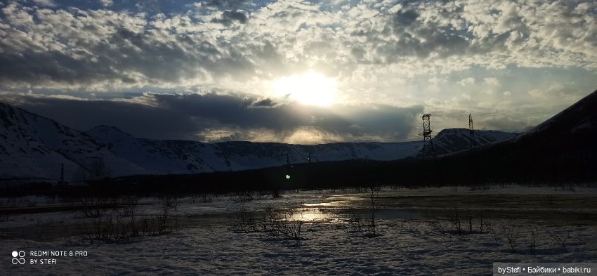 Немножко природы покажу. 19 мая. Заполярье