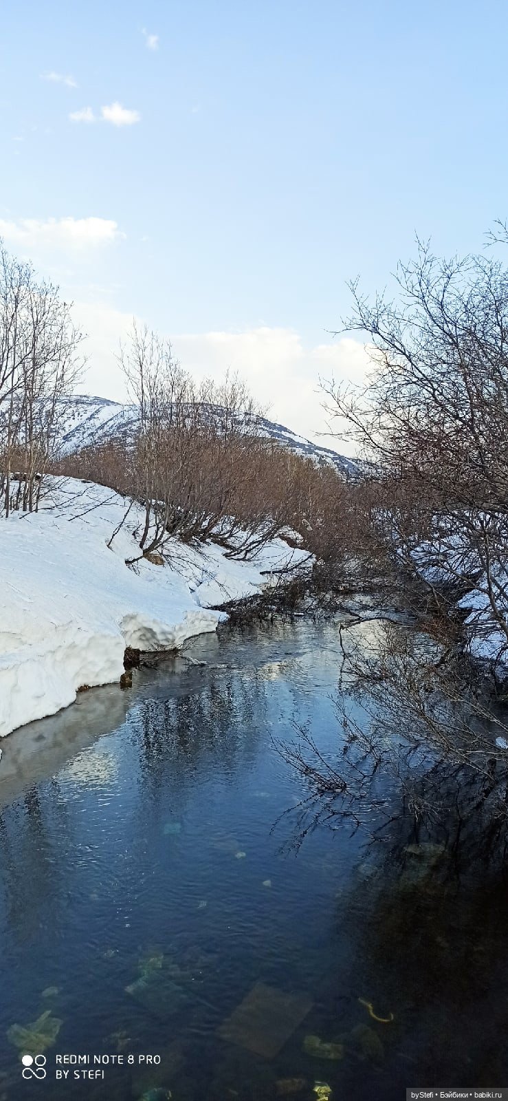 Немножко природы покажу. 19 мая. Заполярье