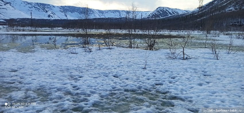 Немножко природы покажу. 19 мая. Заполярье