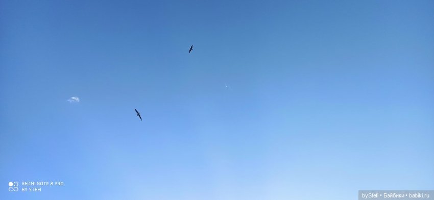 Немножко природы покажу. 19 мая. Заполярье