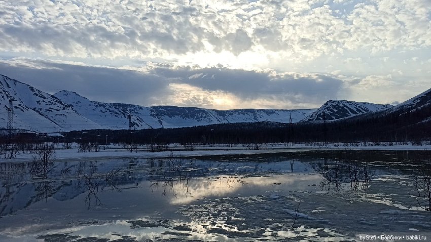 Немножко природы покажу. 19 мая. Заполярье