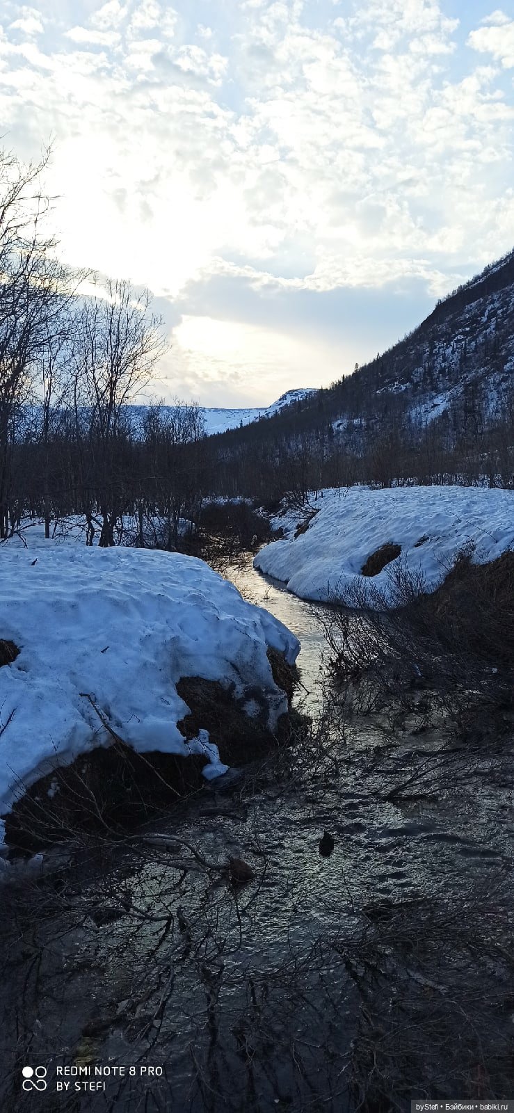 Немножко природы покажу. 19 мая. Заполярье