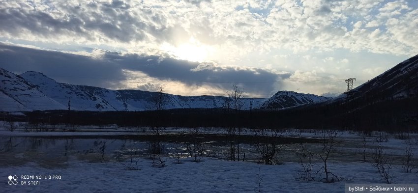 Немножко природы покажу. 19 мая. Заполярье