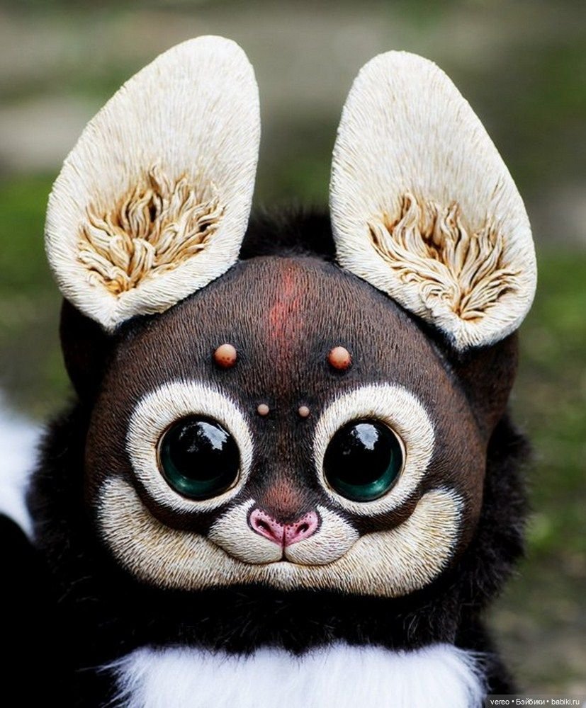 Поздравляю всех поклонников Чебурашки (фото 8)