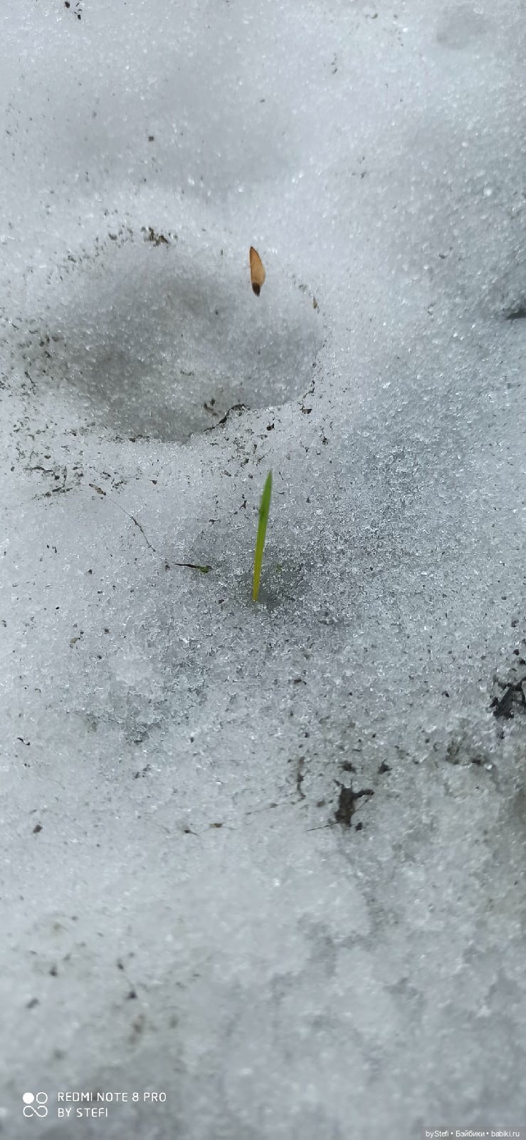 20 мая. Заполярье. Кольский полуостров. Тучки сегодня