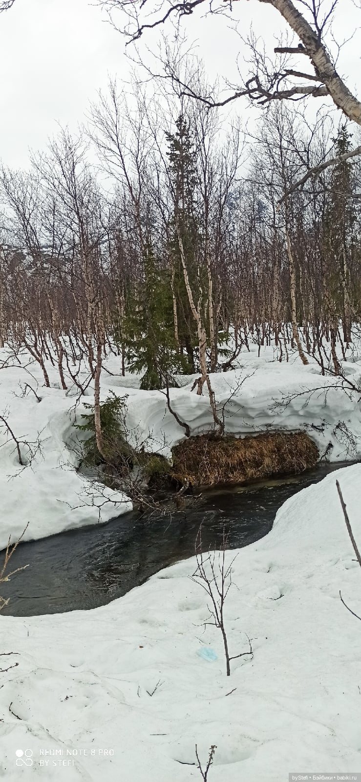 20 мая. Заполярье. Кольский полуостров. Тучки сегодня