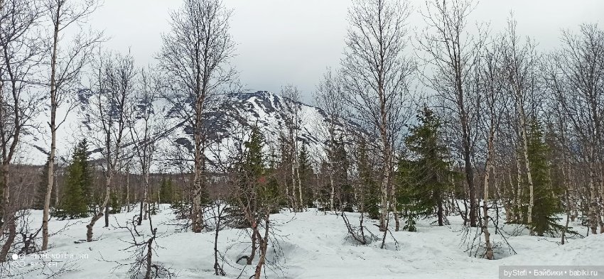 20 мая. Заполярье. Кольский полуостров. Тучки сегодня