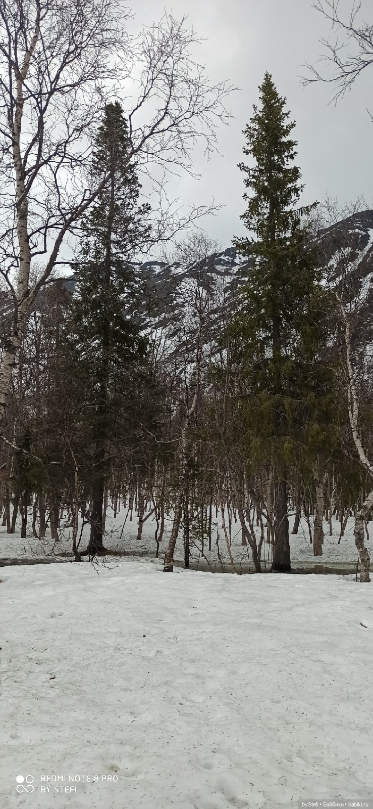 20 мая. Заполярье. Кольский полуостров. Тучки сегодня