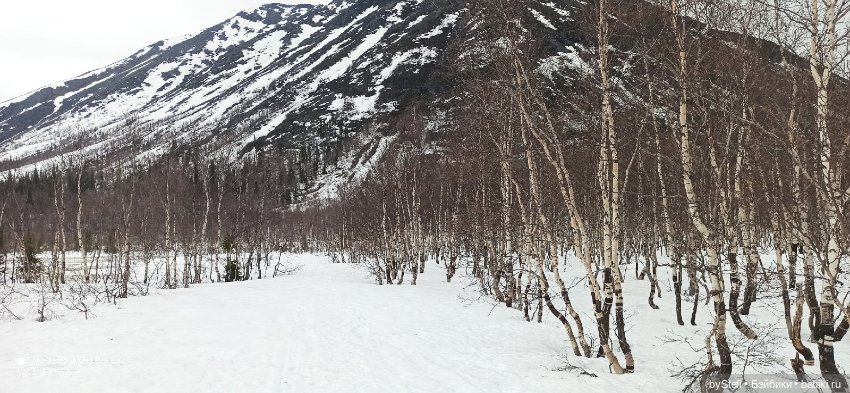 20 мая. Заполярье. Кольский полуостров. Тучки сегодня