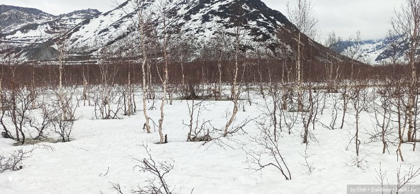 20 мая. Заполярье. Кольский полуостров. Тучки сегодня