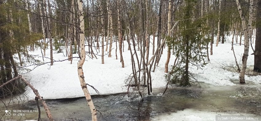 20 мая. Заполярье. Кольский полуостров. Тучки сегодня
