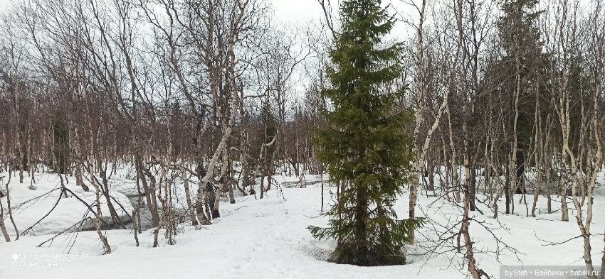 20 мая. Заполярье. Кольский полуостров. Тучки сегодня