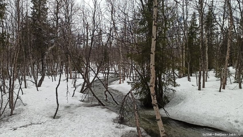 20 мая. Заполярье. Кольский полуостров. Тучки сегодня