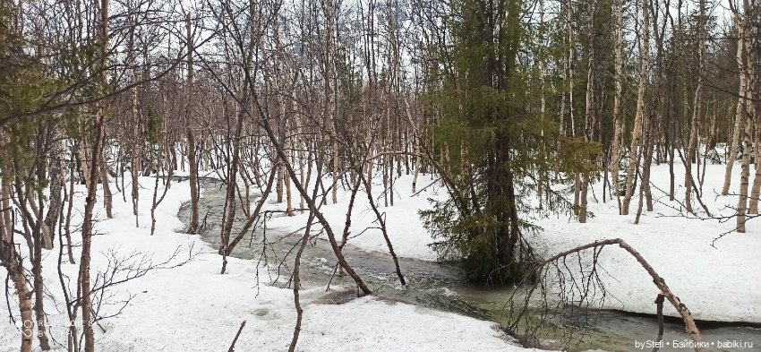 20 мая. Заполярье. Кольский полуостров. Тучки сегодня