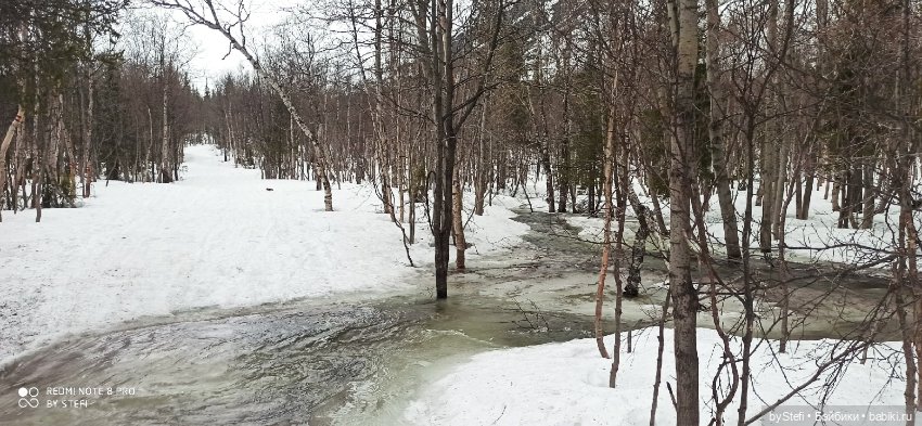 20 мая. Заполярье. Кольский полуостров. Тучки сегодня