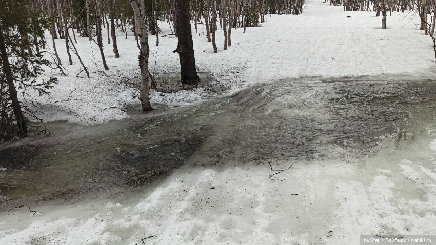 20 мая. Заполярье. Кольский полуостров. Тучки сегодня