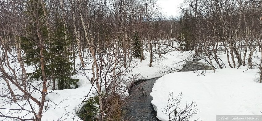 20 мая. Заполярье. Кольский полуостров. Тучки сегодня