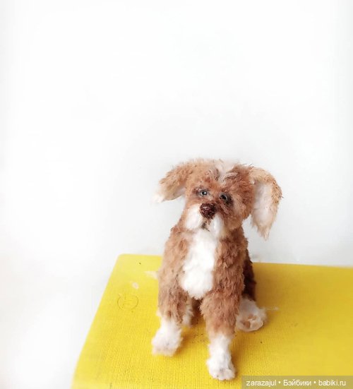 Рыжик - новый пес в питомнике