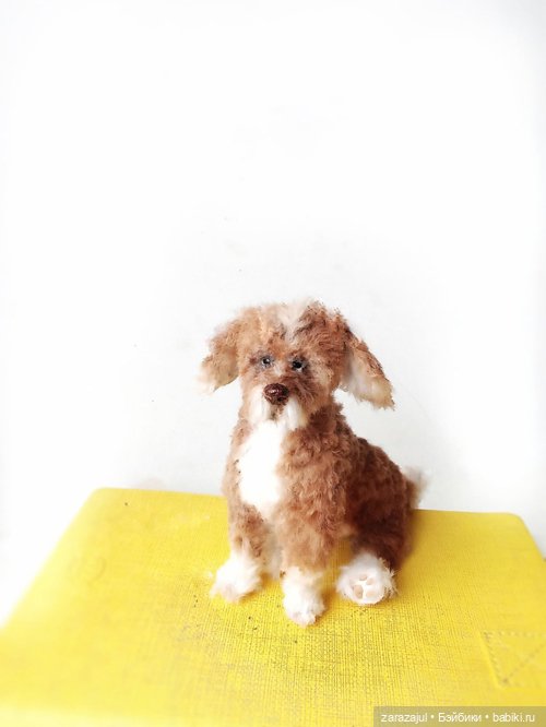 Рыжик - новый пес в питомнике (фото 2)