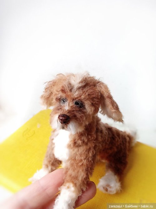 Рыжик - новый пес в питомнике (фото 4)