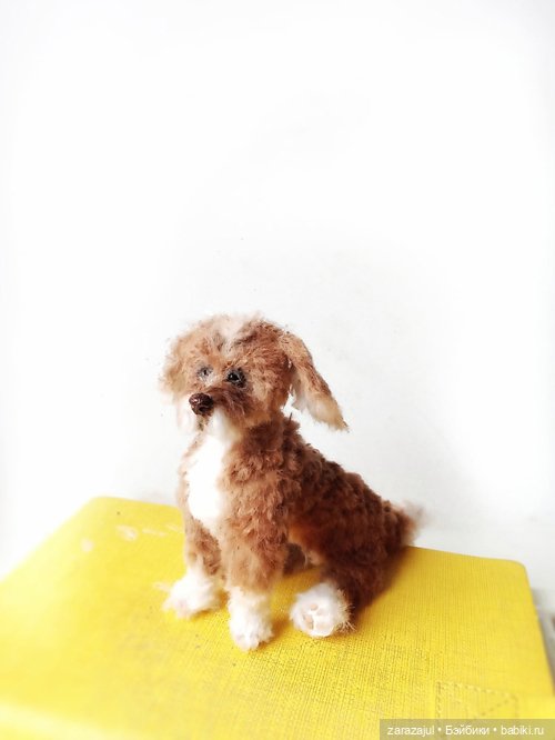 Рыжик - новый пес в питомнике (фото 3)