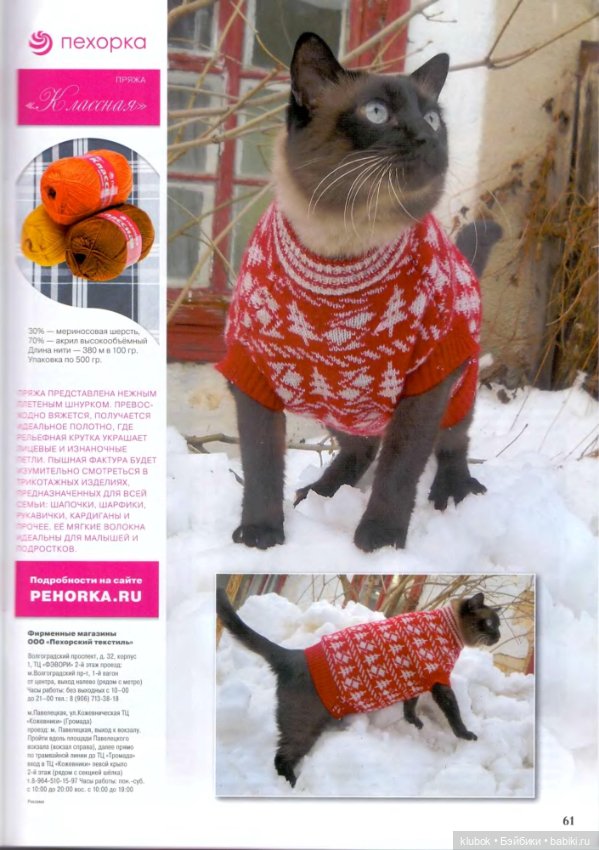 Свитер для большого кота — Разное (фото 2)