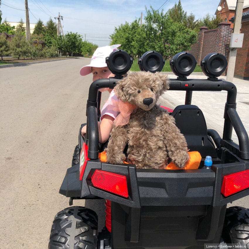 Бэппо — Авторские мишки Тедди и друзья: фото