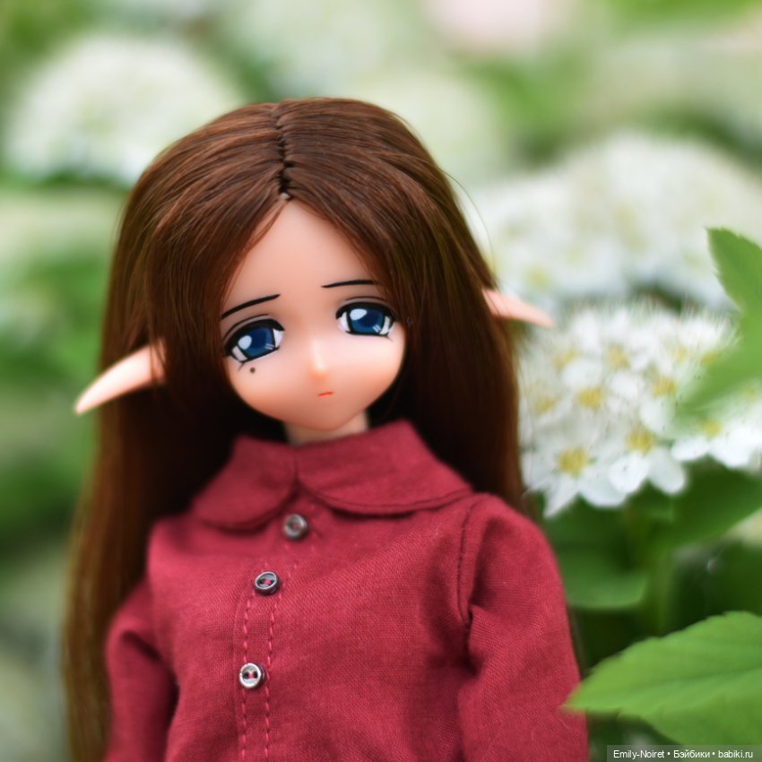 Ловим весну за хвост вместе с Рарафи