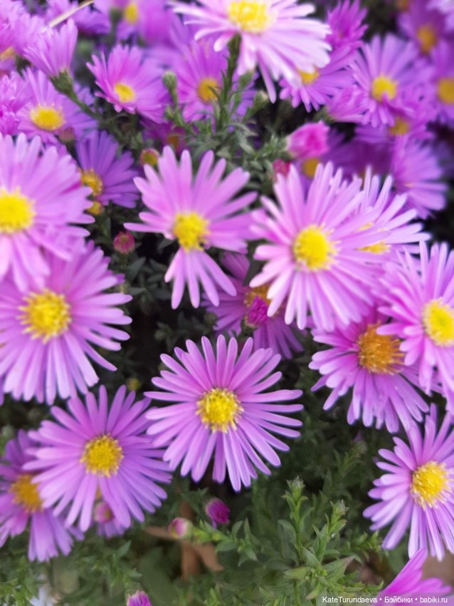 Немного некукольных фото — Болталка и разговоры обо всем: жизнь