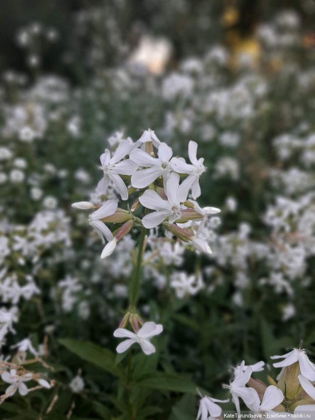 Немного некукольных фото — Болталка и разговоры обо всем: жизнь (фото 2)