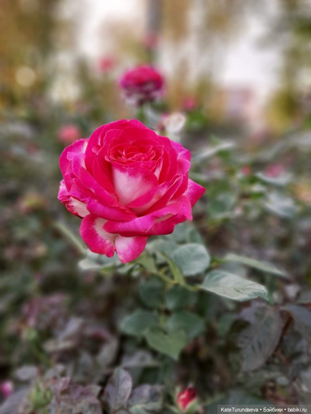 Немного некукольных фото — Болталка и разговоры обо всем: жизнь