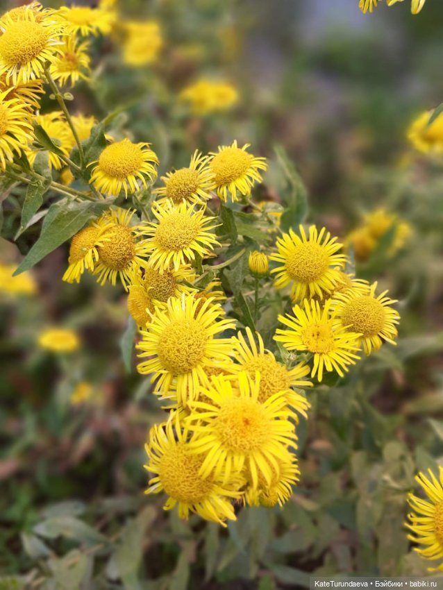 Немного некукольных фото — Болталка и разговоры обо всем: жизнь (фото 10)