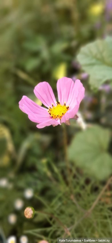 Немного некукольных фото — Болталка и разговоры обо всем: жизнь (фото 6)