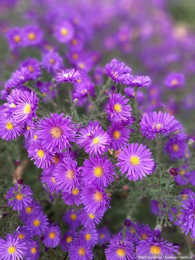 Немного некукольных фото — Болталка и разговоры обо всем: жизнь