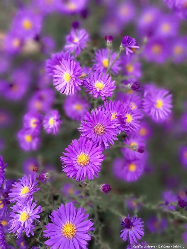 Немного некукольных фото — Болталка и разговоры обо всем: жизнь