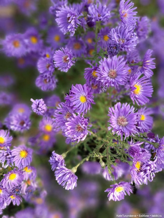 Немного некукольных фото — Болталка и разговоры обо всем: жизнь