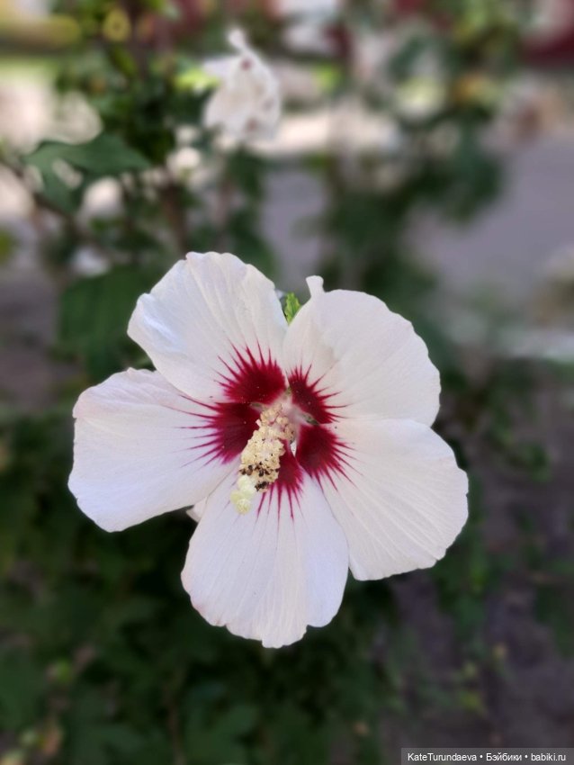 Немного некукольных фото — Болталка и разговоры обо всем: жизнь