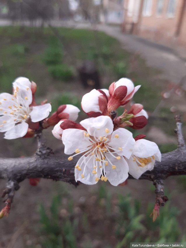 Немного некукольных фото — Болталка и разговоры обо всем: жизнь
