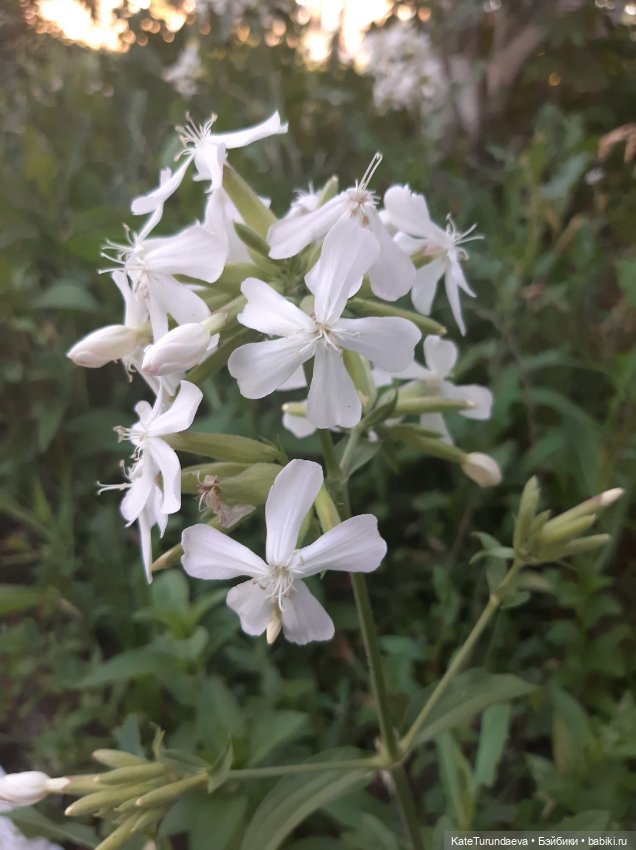 Немного некукольных фото — Болталка и разговоры обо всем: жизнь