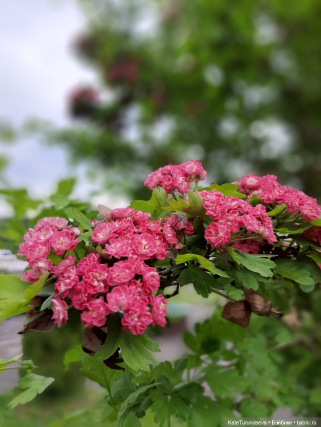 Немного некукольных фото — Болталка и разговоры обо всем: жизнь