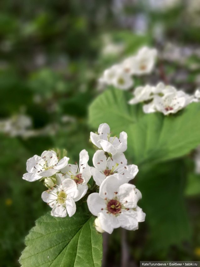 Немного некукольных фото — Болталка и разговоры обо всем: жизнь
