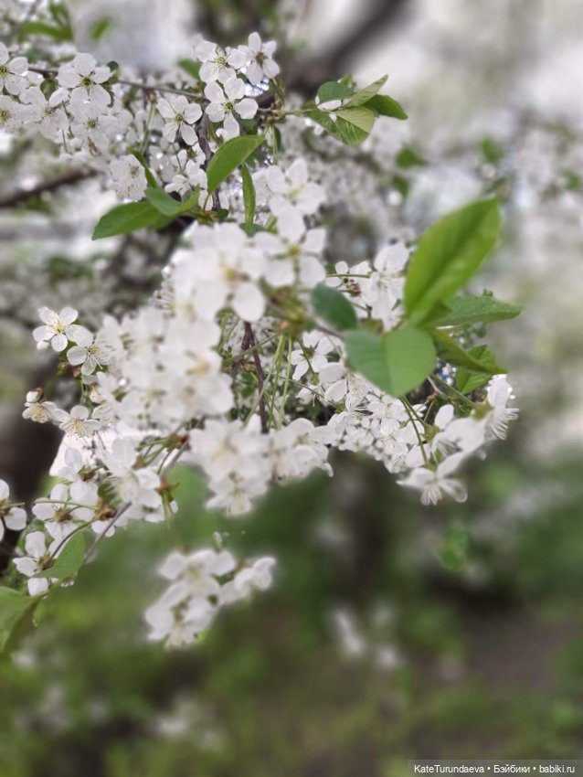 Немного некукольных фото — Болталка и разговоры обо всем: жизнь