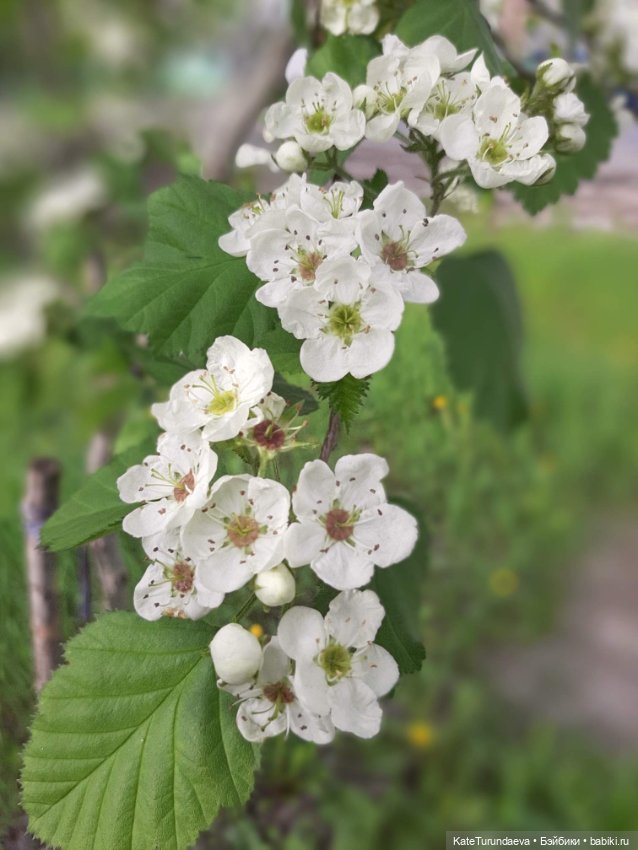 Немного некукольных фото — Болталка и разговоры обо всем: жизнь