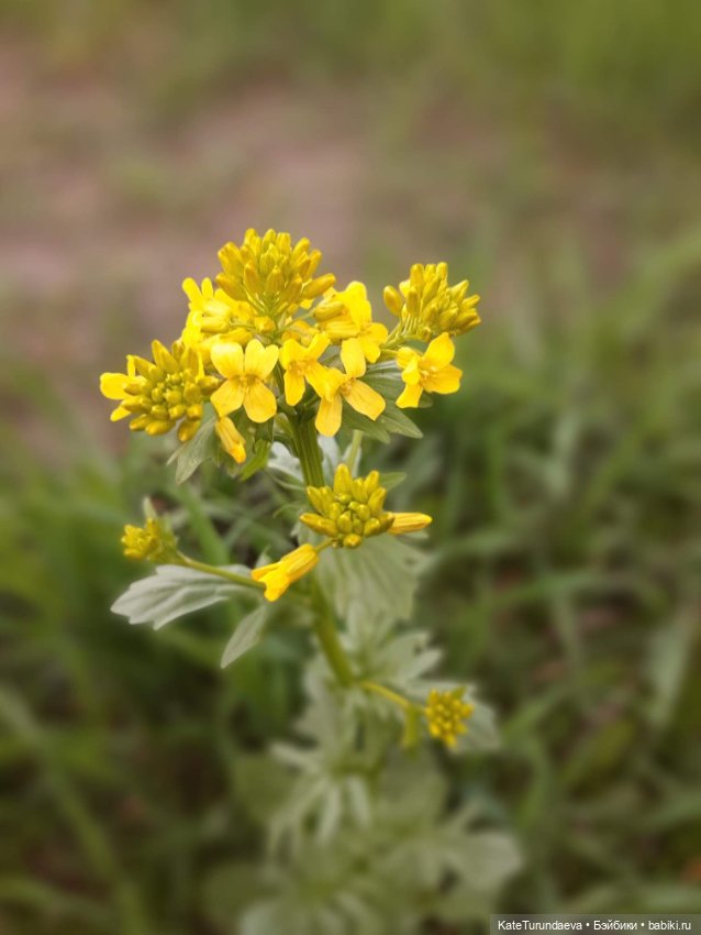 Немного некукольных фото — Болталка и разговоры обо всем: жизнь