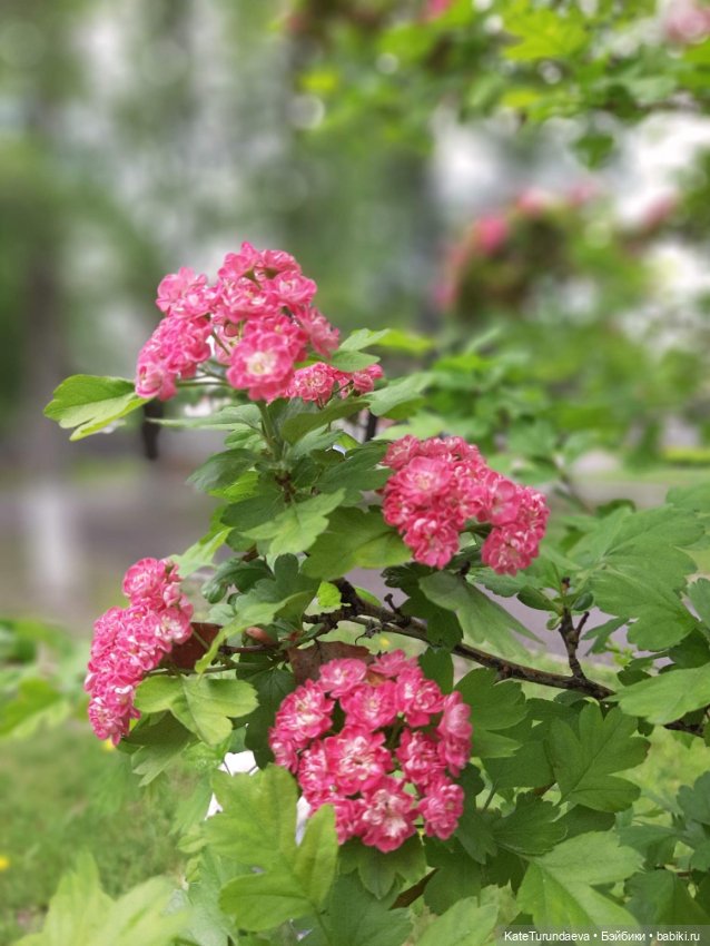 Немного некукольных фото — Болталка и разговоры обо всем: жизнь