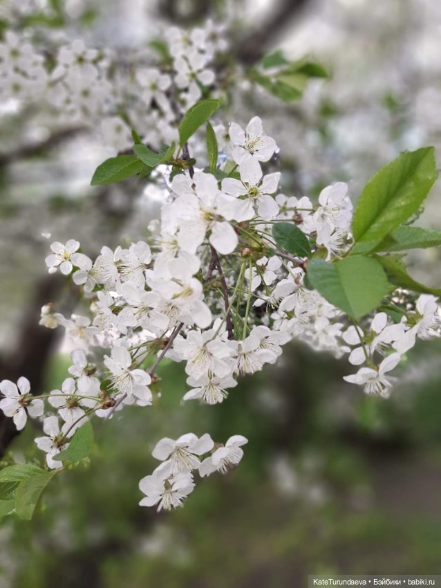 Немного некукольных фото — Болталка и разговоры обо всем: жизнь