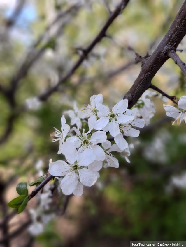 Немного некукольных фото — Болталка и разговоры обо всем: жизнь
