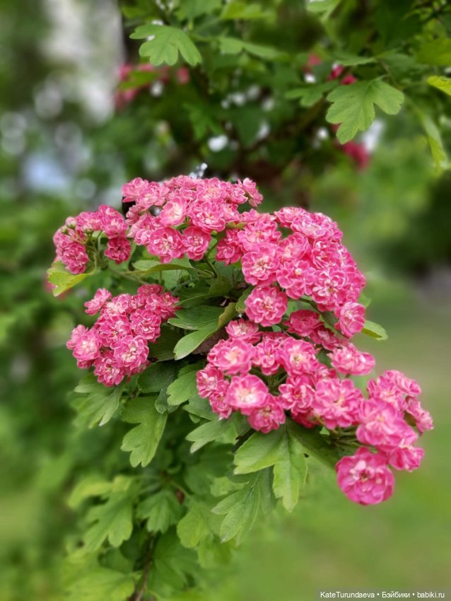 Немного некукольных фото — Болталка и разговоры обо всем: жизнь