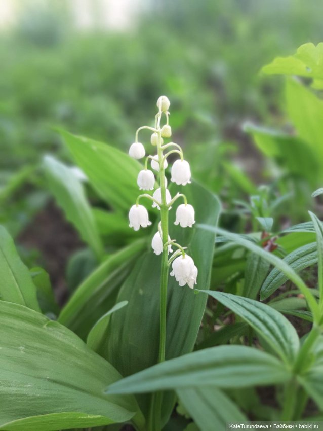 Немного некукольных фото — Болталка и разговоры обо всем: жизнь