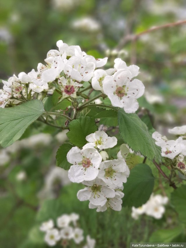 Немного некукольных фото — Болталка и разговоры обо всем: жизнь